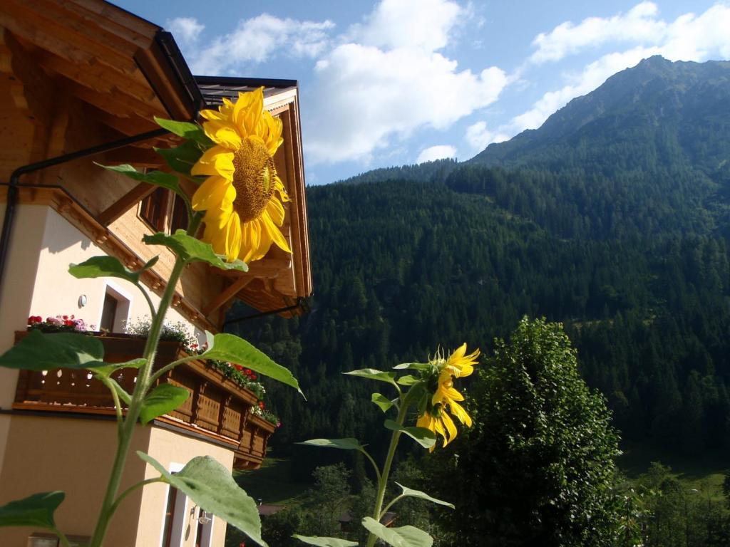 Apartament Arche Hof Oebristhof Kleinarl Zewnętrze zdjęcie